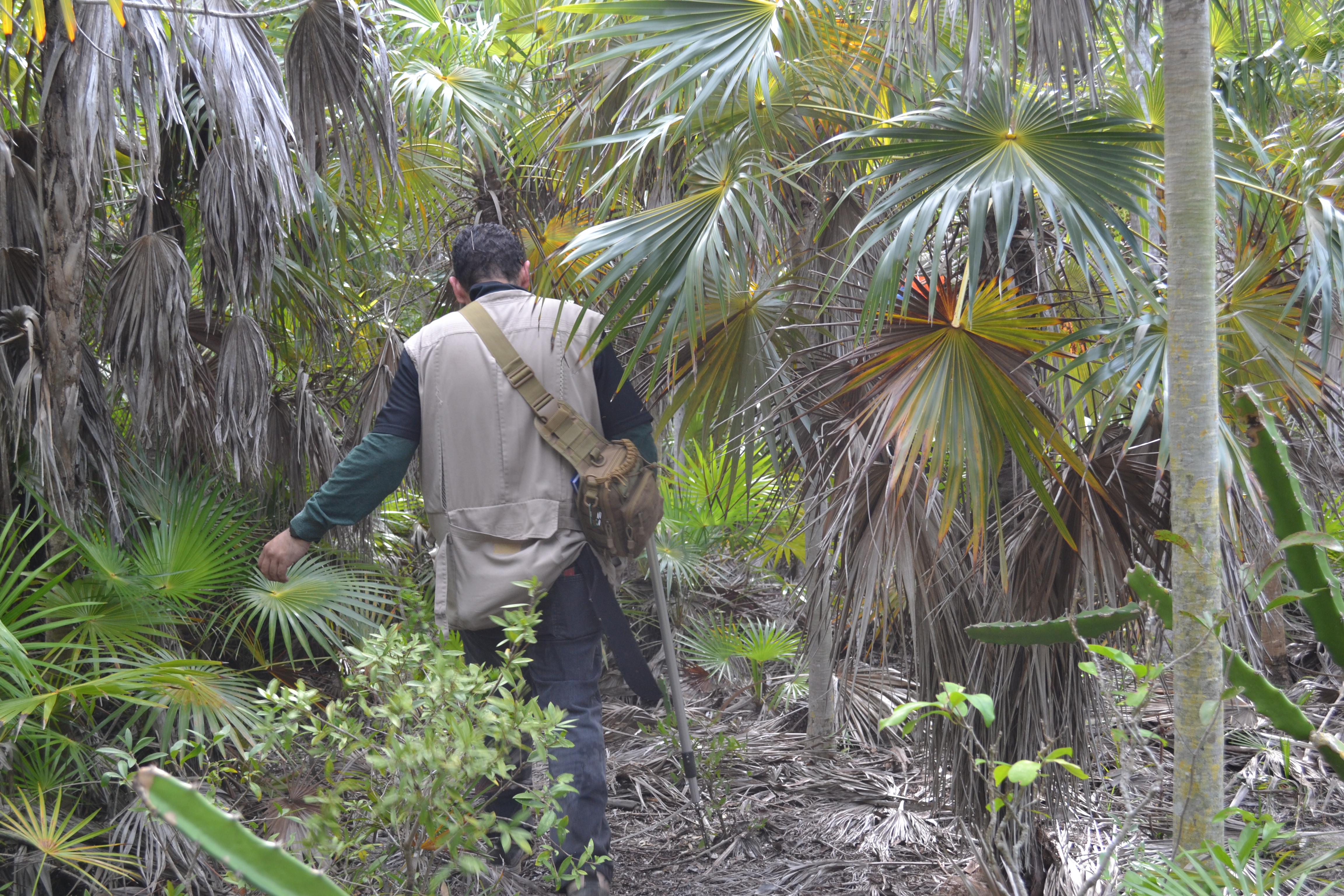 ¿Cómo disminuir la huella de carbono?